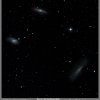 members images